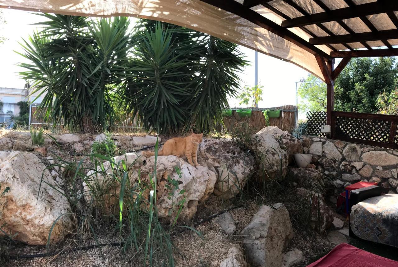 Panorama Kinneret נוף כנרת, צפת エクステリア 写真